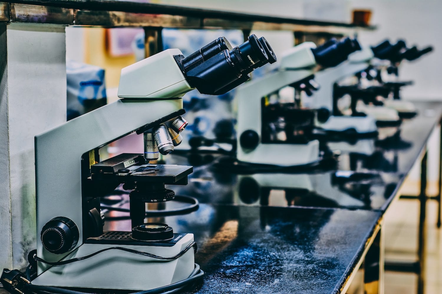microscopes benches